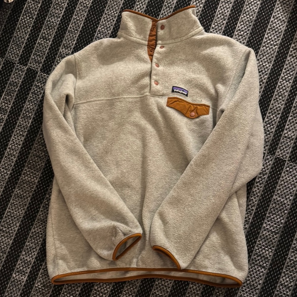 Patagonia Men's Synchilla Fleece Pullover